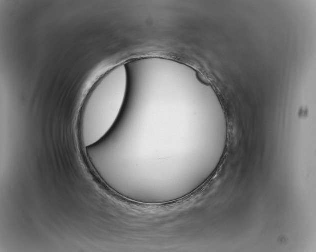 X0000102340006200808010923