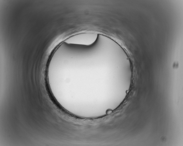 X0000102340007200808010923