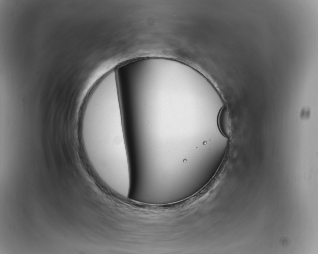 X0000102340008200808010923