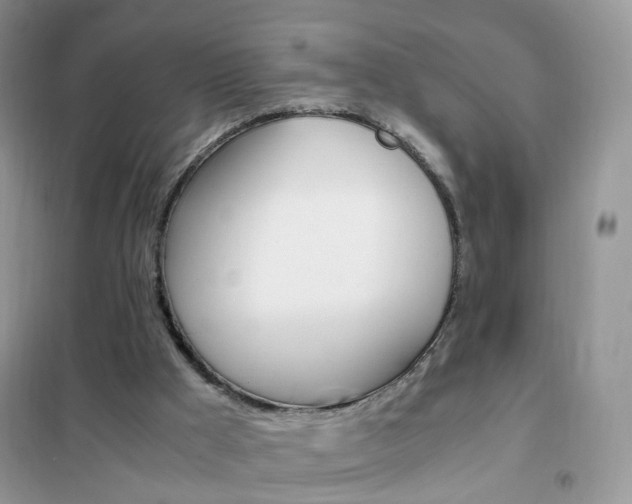 X0000102340009200808010923