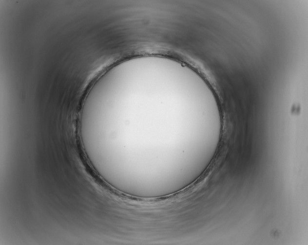 X0000102340010200808010923