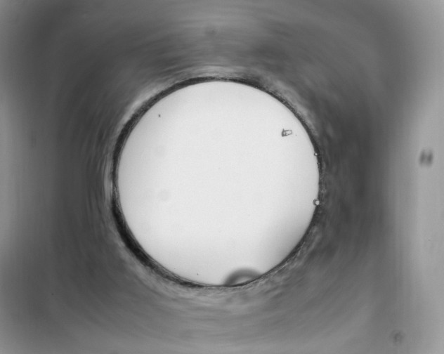 X0000102340011200808010923