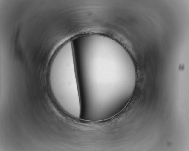 X0000102340012200808010923