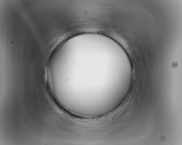 X0000102340013200808010923