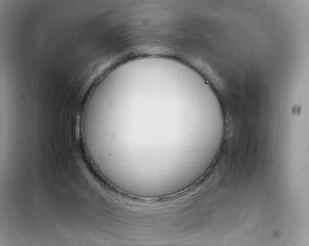 X0000102340014200808010923