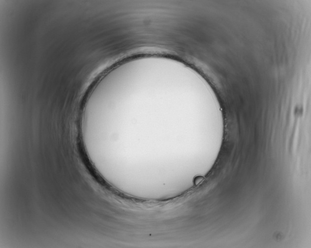 X0000102340015200808010923