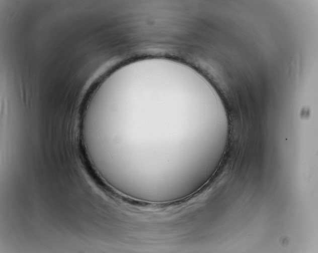 X0000102340016200808010923