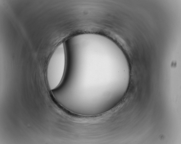 X0000102340017200808010923