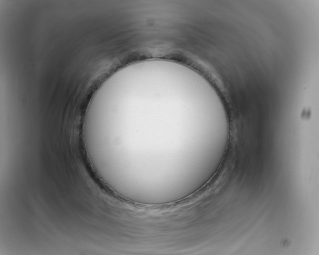 X0000102340018200808010923