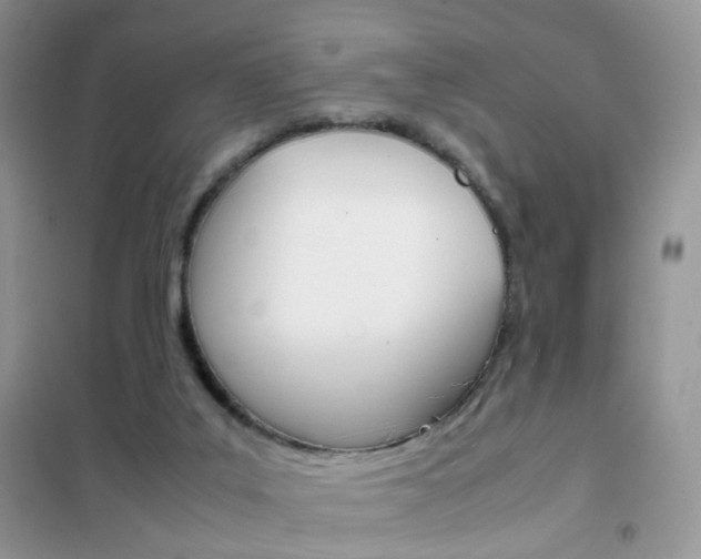 X0000102340019200808010923