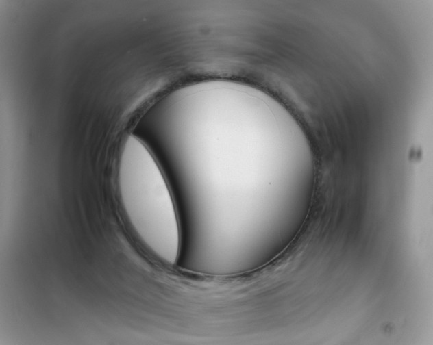 X0000102340020200808010923