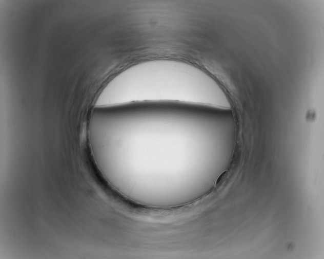 X0000102340021200808010923