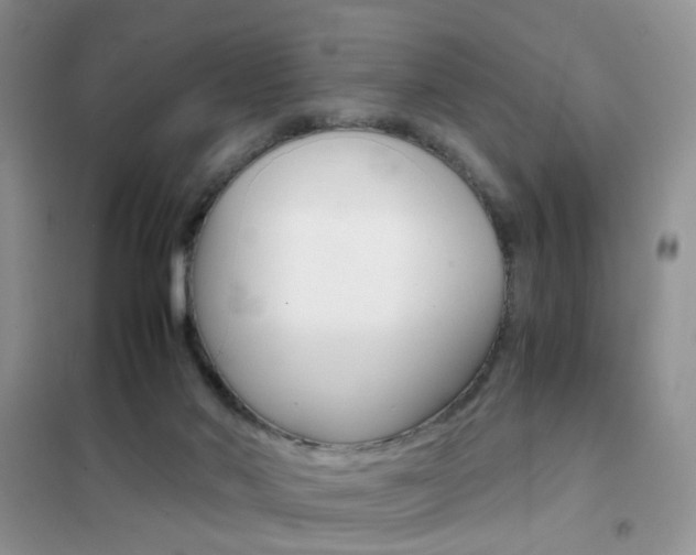 X0000102340022200808010923