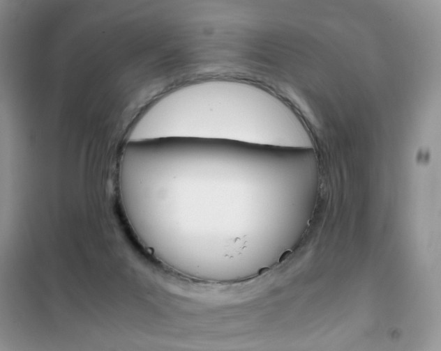 X0000102340023200808010923