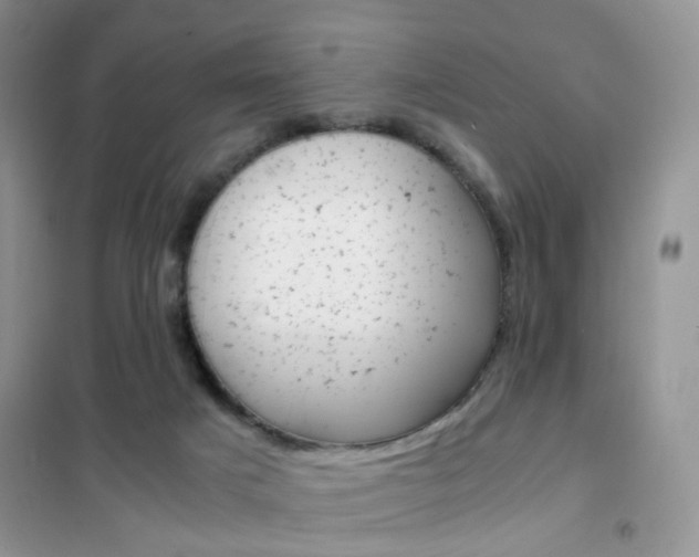 X0000102340025200808010923