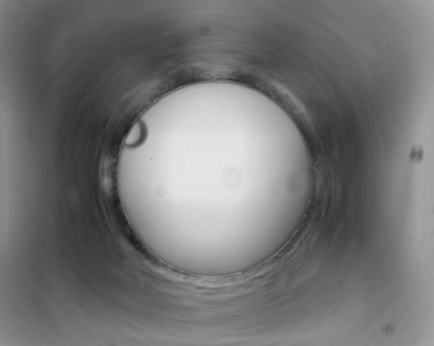 X0000102340026200808010923