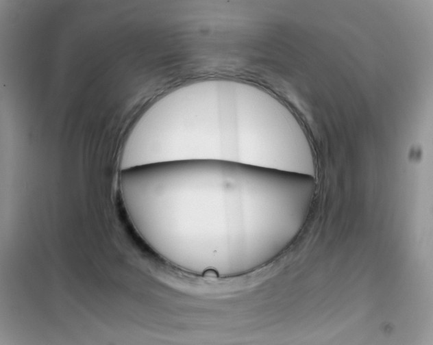 X0000102340027200808010923