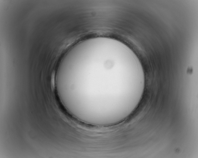 X0000102340028200808010923