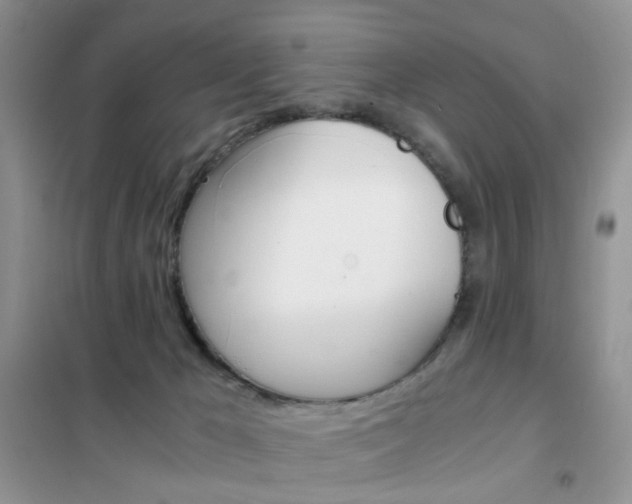 X0000102340029200808010923