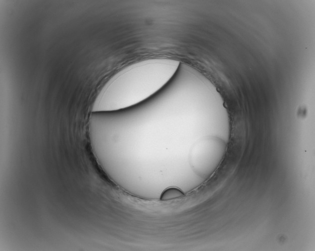 X0000102340030200808010923