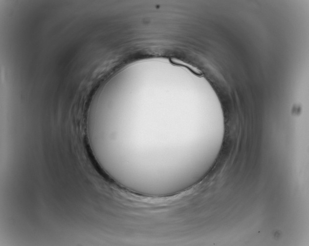 X0000102340031200808010923