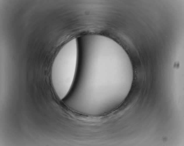 X0000102340032200808010923