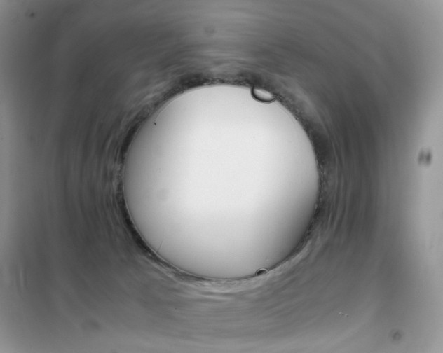 X0000102340033200808010923