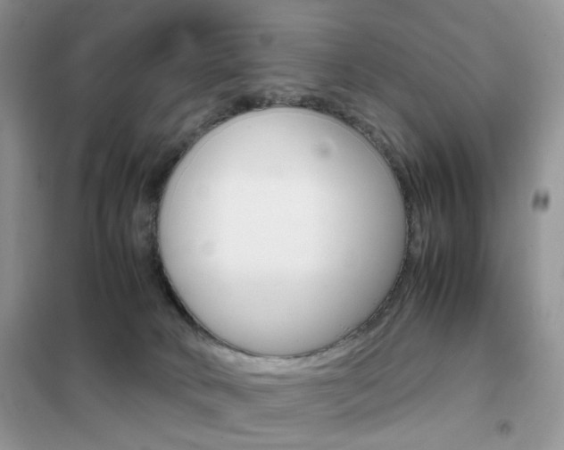 X0000102340034200808010923