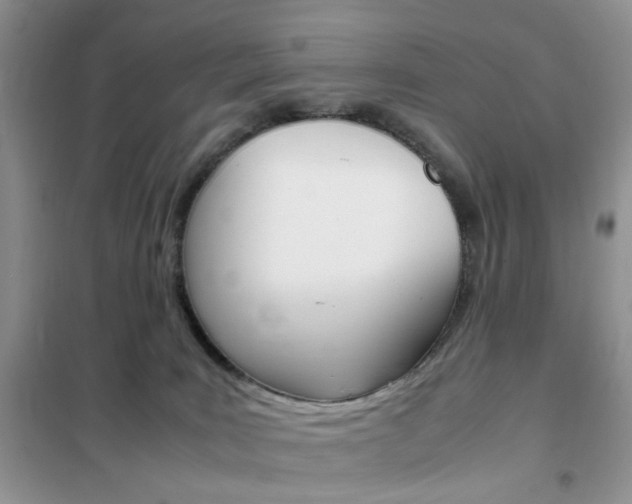 X0000102340035200808010923