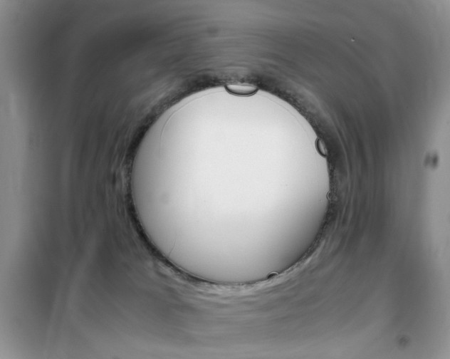 X0000102340037200808010923