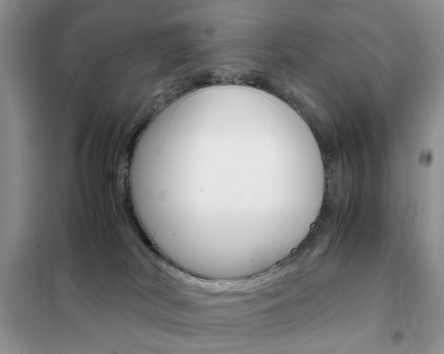 X0000102340038200808010923