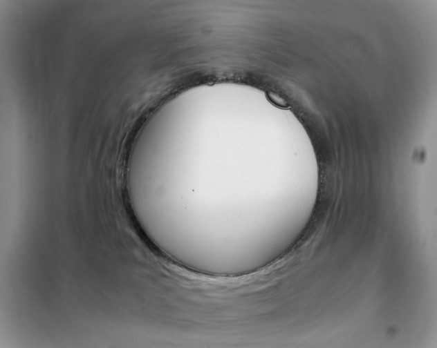 X0000102340039200808010923