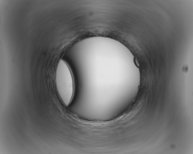 X0000102340040200808010923