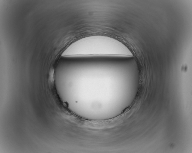 X0000102340041200808010923