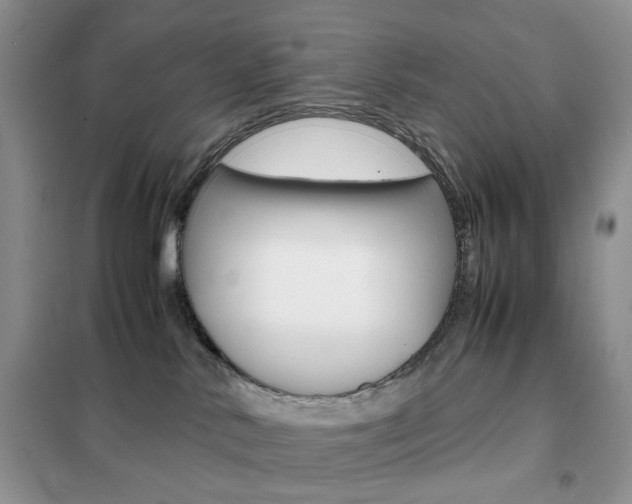 X0000102340042200808010923