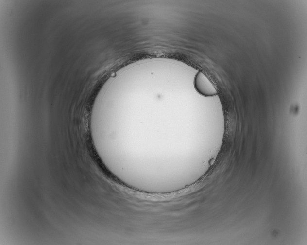 X0000102340043200808010923