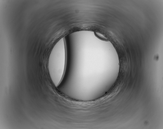 X0000102340044200808010923