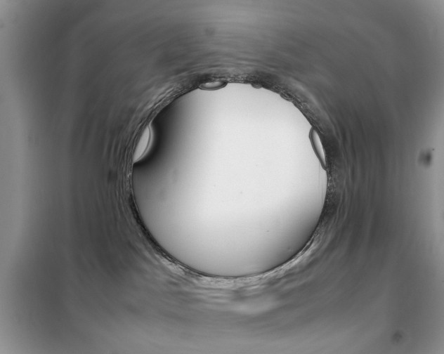 X0000102340045200808010923