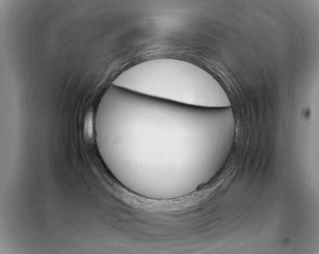 X0000102340046200808010923