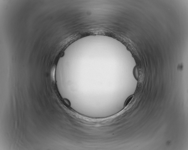 X0000102340047200808010923