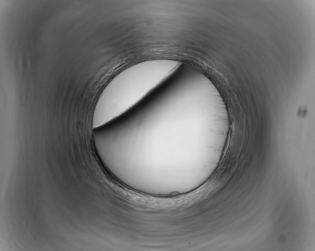 X0000102340048200808010923