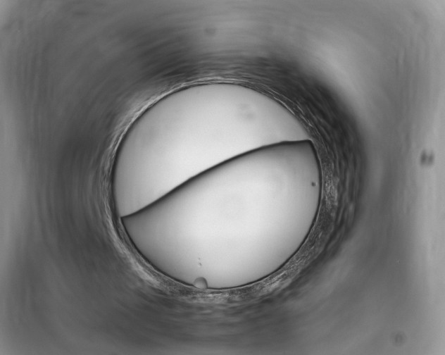 X0000102340049200808010922