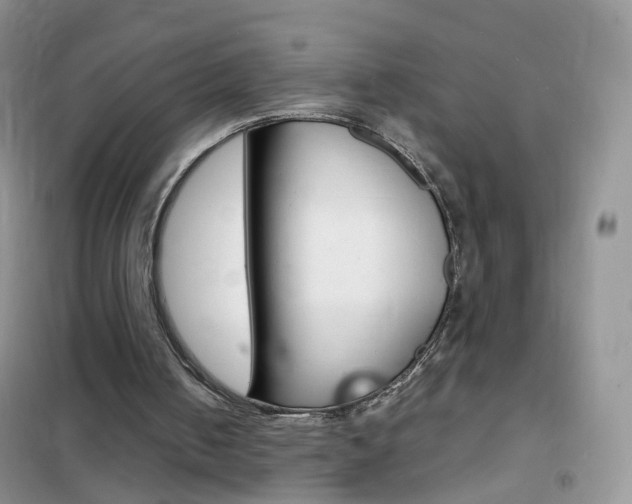 X0000102340050200808010922