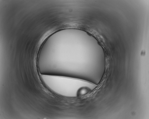 X0000102340051200808010922