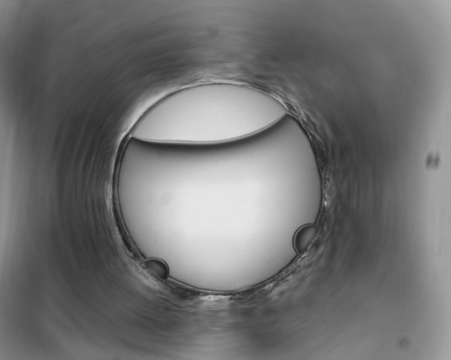 X0000102340052200808010922