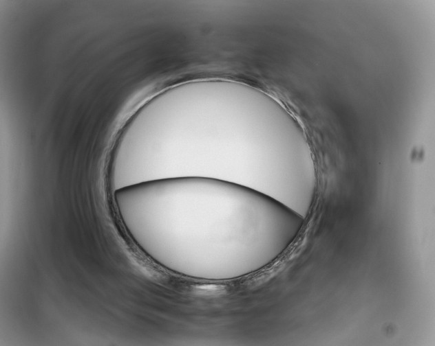 X0000102340053200808010922