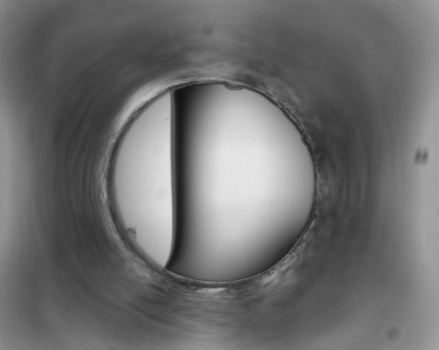 X0000102340054200808010922