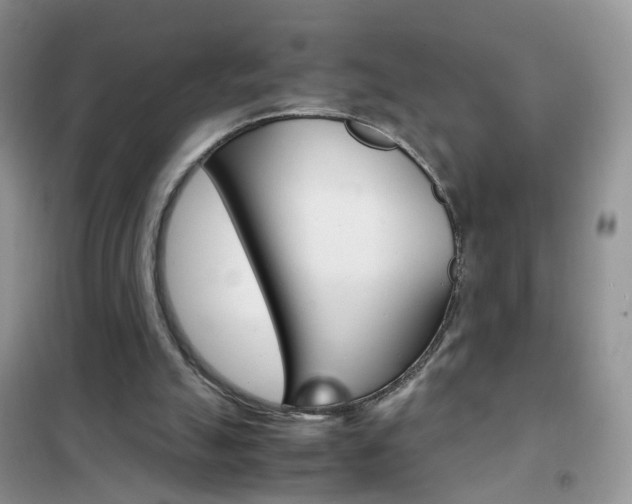 X0000102340055200808010922