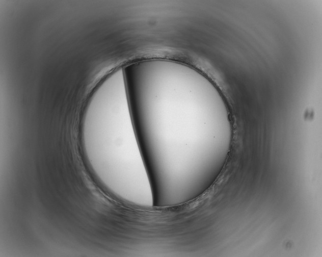 X0000102340058200808010922