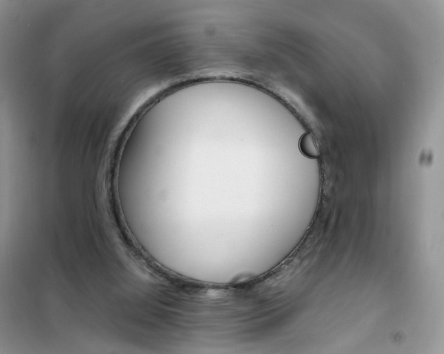 X0000102340060200808010922